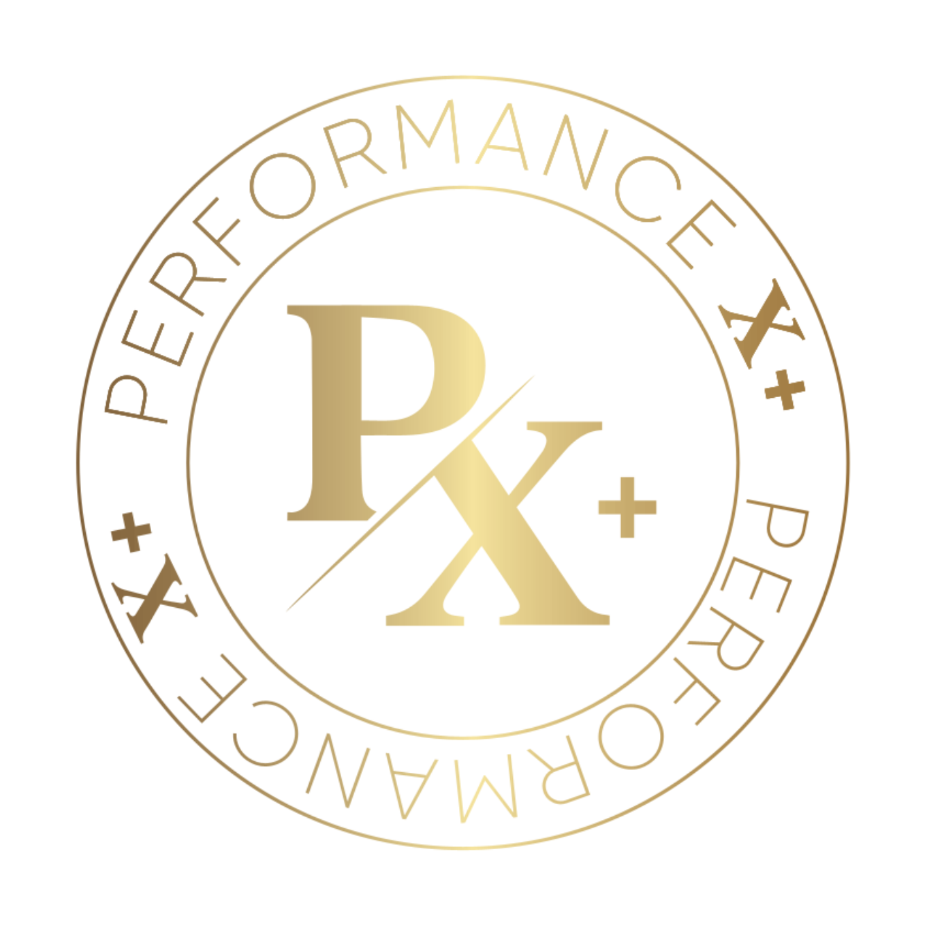 PX+ PERFORMANCE